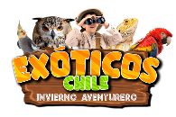 Sumérgete en el fascinante mundo de la vida salvaje en Tour Exóticos Chile, una experiencia inigualable en el país!